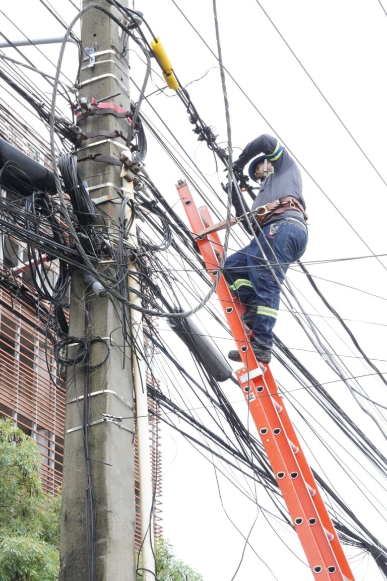 Edesur ejecutó unas 570,000 acciones para eficientizar el servicio y reducir pérdidas