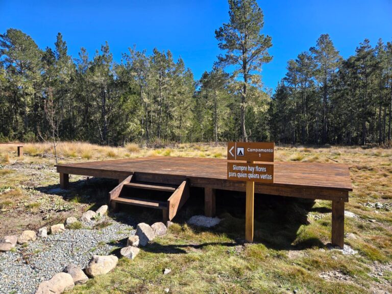 Medio Ambiente traslada campamento al Jardín del Edén en Valle Nuevo