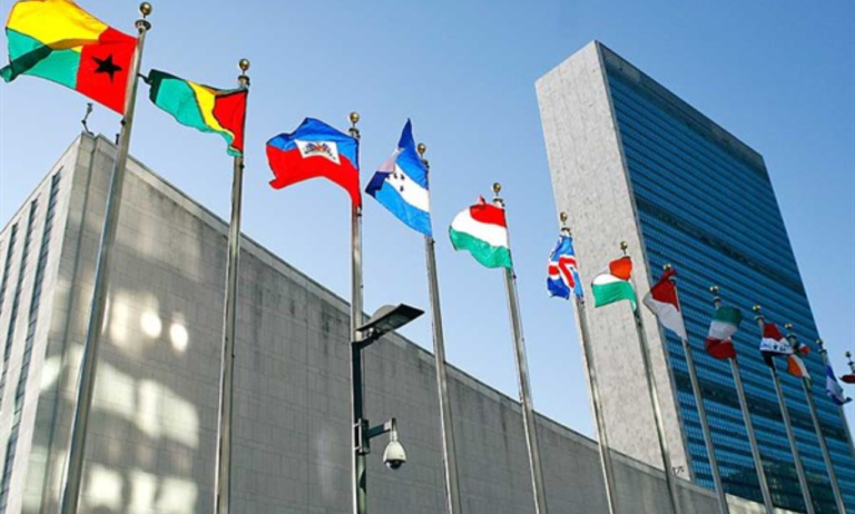República Dominicana es electa como miembro de dos órganos subsidiarios del ECOSOC de la ONU